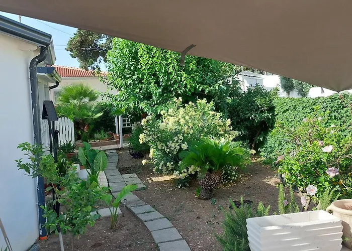 Sofia 1 恩佩多克莱港